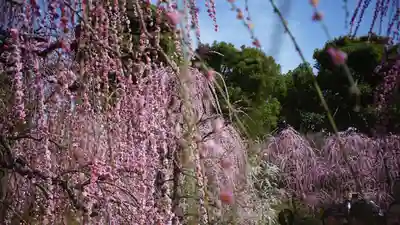城南宮(京都府)