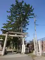 小松天満宮の鳥居