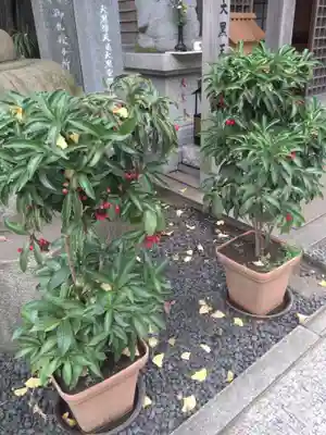 豊川稲荷東京別院のその他建物