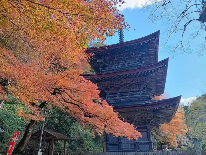 金剛院(京都府)