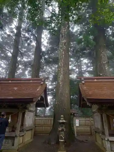 玉置神社(奈良県)