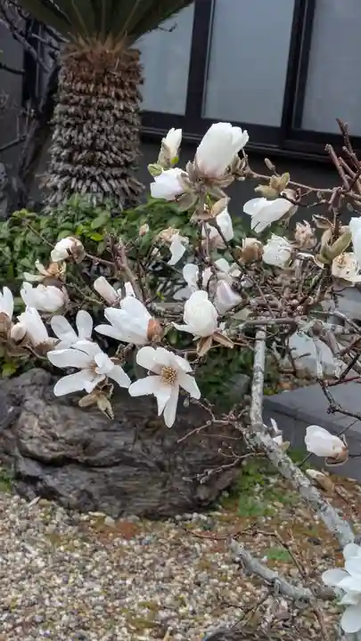 順應寺(滋賀県)