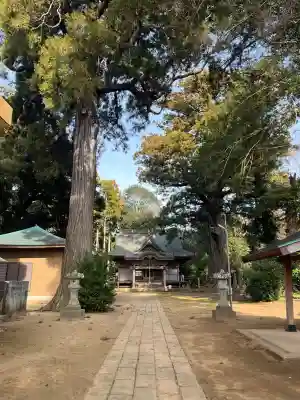 松山神社の{uncategorized: "未分類", other: "その他", undefined: "問題あり", building: "その他建物", grave: "お墓", sacred_gate: "鳥居", guardian: "狛犬", statue: "像", buddha: "仏像", history: "歴史", nature: "自然", garden: "庭園", animal: "動物", pagoda: "塔", temizu: "手水舎", mountain_gate: "山門・神門", sanctuary: "本殿・本堂", subordinate: "末社・摂社", art: "芸術", scenery: "景色", jizo: "地蔵", ema: "絵馬", goshuin: "御朱印", omikuji: "おみくじ", items: "授与品その他", amulet: "お守り", goshuincho: "御朱印帳", eats: "食事", festival: "お祭り", votive_dance: "神楽", shichigosan: "七五三参", wedding: "結婚式", experience: "体験その他", initially: "初詣", around: "周辺", anti_infection: "感染症対策"}