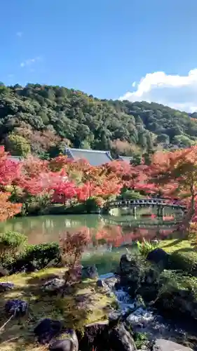 禅林寺（永観堂）(京都府)