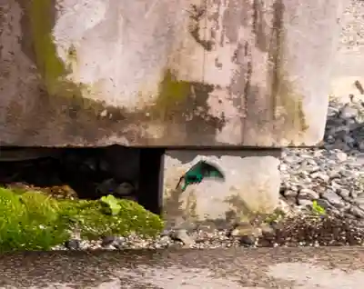 諏訪大社(長野県)