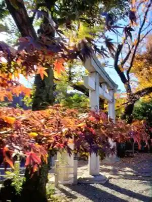 本郷氷川神社(東京都)