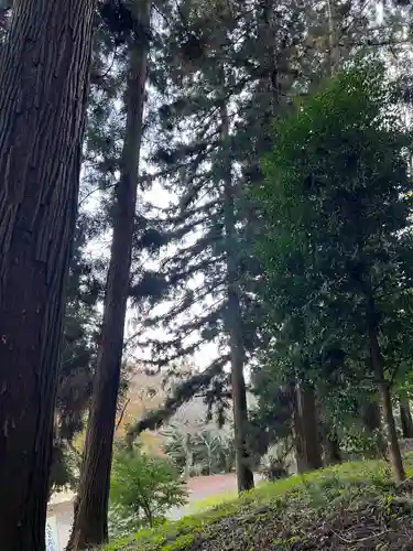 大宮温泉神社(栃木県)