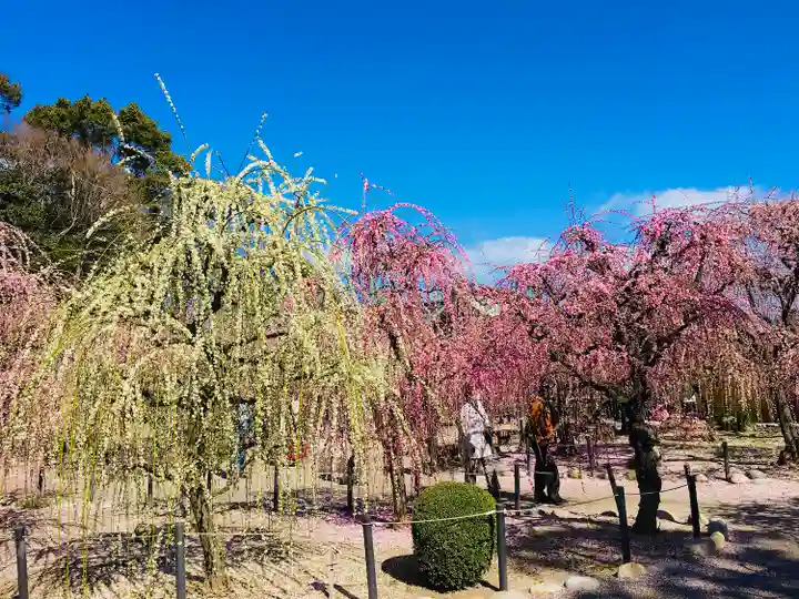 結城神社(三重県)