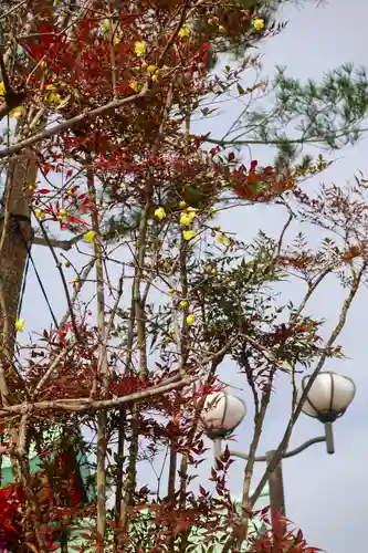 成田山大阪別院　明王院の自然