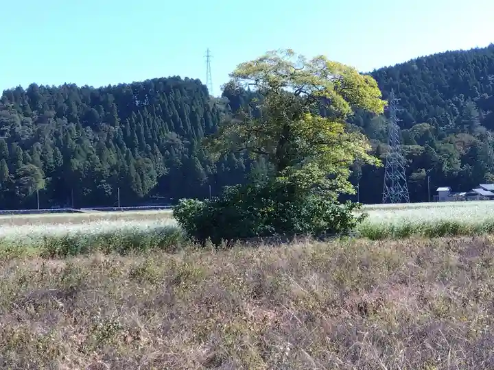 分神社(福井県)