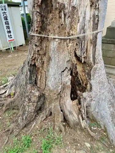 菅原神社(埼玉県)