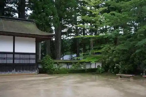 高野山金剛峯寺の自然