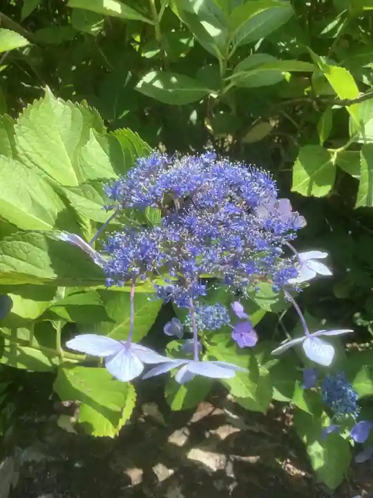 禅徳寺(岐阜県)
