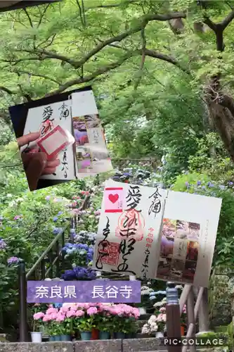 長谷寺(奈良県)