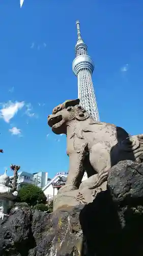 押上天祖神社の狛犬