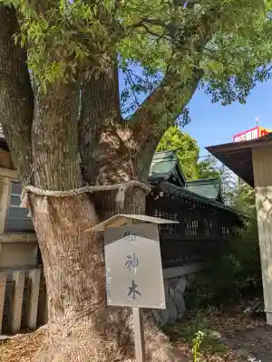 八幡社（四女子八幡社）の{uncategorized: "未分類", other: "その他", undefined: "問題あり", building: "その他建物", grave: "お墓", sacred_gate: "鳥居", guardian: "狛犬", statue: "像", buddha: "仏像", history: "歴史", nature: "自然", garden: "庭園", animal: "動物", pagoda: "塔", temizu: "手水舎", mountain_gate: "山門・神門", sanctuary: "本殿・本堂", subordinate: "末社・摂社", art: "芸術", scenery: "景色", jizo: "地蔵", ema: "絵馬", goshuin: "御朱印", omikuji: "おみくじ", items: "授与品その他", amulet: "お守り", goshuincho: "御朱印帳", eats: "食事", festival: "お祭り", votive_dance: "神楽", shichigosan: "七五三参", wedding: "結婚式", experience: "体験その他", initially: "初詣", around: "周辺", anti_infection: "感染症対策"}