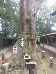 一言主神社(茨城県)