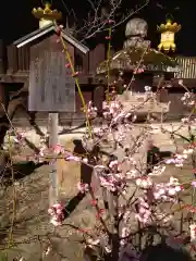 北野天満宮の自然