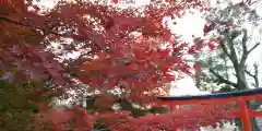 月読神社（松尾大社摂社）(京都府)