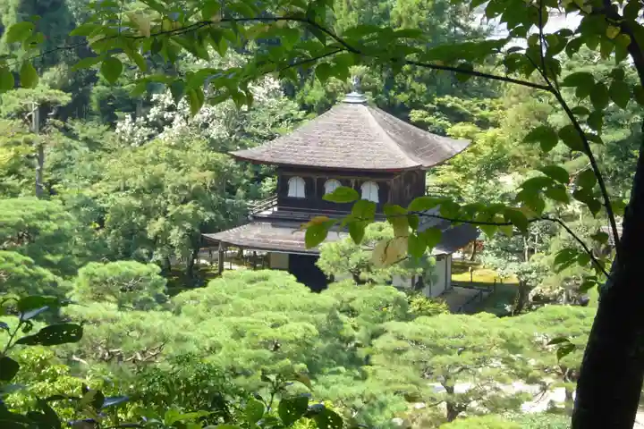 慈照寺(慈照禅寺・銀閣寺)の本殿・本堂