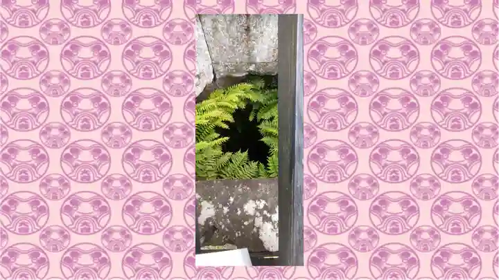 眞田神社(長野県)