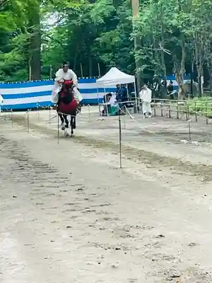 賀茂別雷神社（上賀茂神社）(京都府)