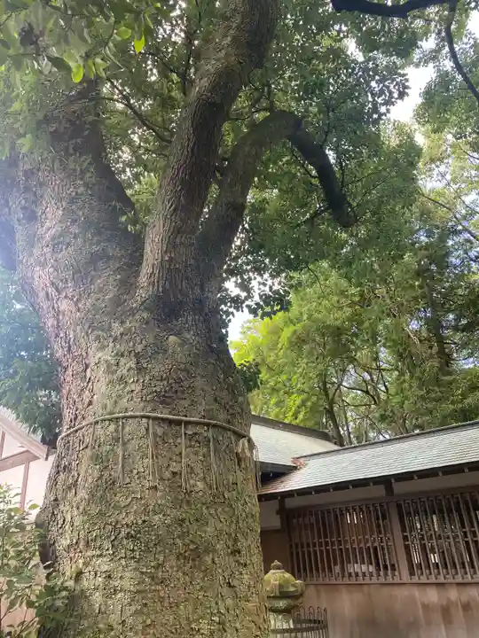 伊達神社(和歌山県)