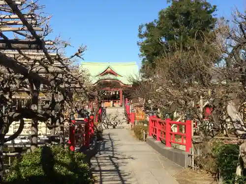 亀戸天神社(東京都)