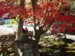 延寿禅寺の自然