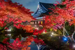 くろ谷 金戒光明寺の本殿・本堂(2020年10月08日(木) 10時36分38秒投稿)