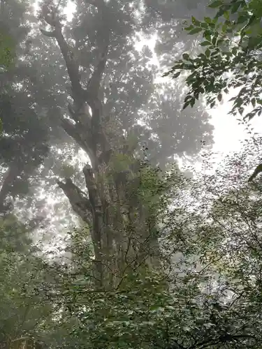 玉置神社(奈良県)