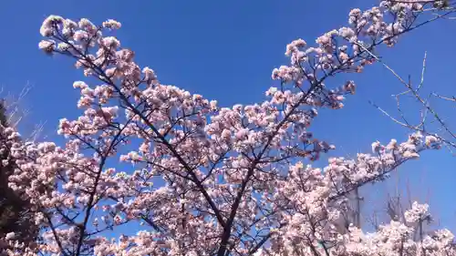 鶴見神社(神奈川県)