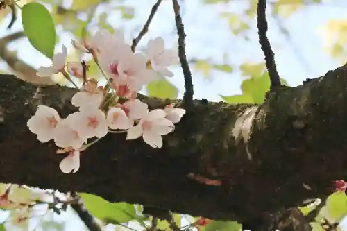 津島神社の自然