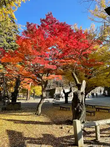 鶴ケ城稲荷神社の景色