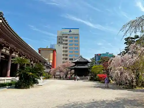 東長寺の庭園
