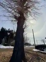 文月地蔵堂の{uncategorized: "未分類", other: "その他", undefined: "問題あり", building: "その他建物", grave: "お墓", sacred_gate: "鳥居", guardian: "狛犬", statue: "像", buddha: "仏像", history: "歴史", nature: "自然", garden: "庭園", animal: "動物", pagoda: "塔", temizu: "手水舎", mountain_gate: "山門・神門", sanctuary: "本殿・本堂", subordinate: "末社・摂社", art: "芸術", scenery: "景色", jizo: "地蔵", ema: "絵馬", goshuin: "御朱印", omikuji: "おみくじ", items: "授与品その他", amulet: "お守り", goshuincho: "御朱印帳", eats: "食事", festival: "お祭り", votive_dance: "神楽", shichigosan: "七五三参", wedding: "結婚式", experience: "体験その他", initially: "初詣", around: "周辺", anti_infection: "感染症対策"}