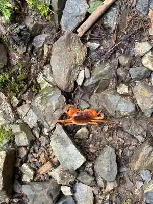 聖神社(高知県)