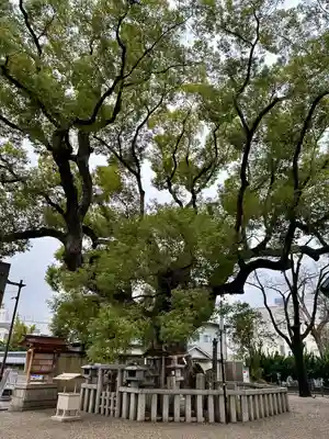杭全神社(大阪府)