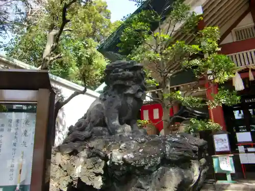 江東天祖神社の狛犬