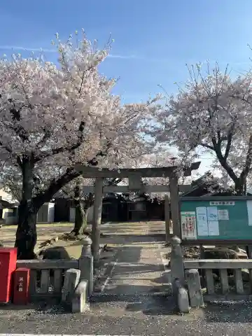 了性寺の{uncategorized: "未分類", other: "その他", undefined: "問題あり", building: "その他建物", grave: "お墓", sacred_gate: "鳥居", guardian: "狛犬", statue: "像", buddha: "仏像", history: "歴史", nature: "自然", garden: "庭園", animal: "動物", pagoda: "塔", temizu: "手水舎", mountain_gate: "山門・神門", sanctuary: "本殿・本堂", subordinate: "末社・摂社", art: "芸術", scenery: "景色", jizo: "地蔵", ema: "絵馬", goshuin: "御朱印", omikuji: "おみくじ", items: "授与品その他", amulet: "お守り", goshuincho: "御朱印帳", eats: "食事", festival: "お祭り", votive_dance: "神楽", shichigosan: "七五三参", wedding: "結婚式", experience: "体験その他", initially: "初詣", around: "周辺", anti_infection: "感染症対策"}