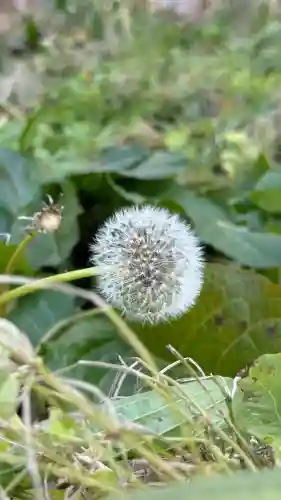 神山稲荷神社(北海道)