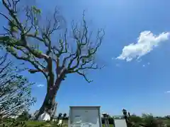 大木神社跡地(三重県)