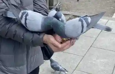 今市報徳二宮神社の{uncategorized: "未分類", other: "その他", undefined: "問題あり", building: "その他建物", grave: "お墓", sacred_gate: "鳥居", guardian: "狛犬", statue: "像", buddha: "仏像", history: "歴史", nature: "自然", garden: "庭園", animal: "動物", pagoda: "塔", temizu: "手水舎", mountain_gate: "山門・神門", sanctuary: "本殿・本堂", subordinate: "末社・摂社", art: "芸術", scenery: "景色", jizo: "地蔵", ema: "絵馬", goshuin: "御朱印", omikuji: "おみくじ", items: "授与品その他", amulet: "お守り", goshuincho: "御朱印帳", eats: "食事", festival: "お祭り", votive_dance: "神楽", shichigosan: "七五三参", wedding: "結婚式", experience: "体験その他", initially: "初詣", around: "周辺", anti_infection: "感染症対策"}