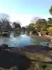 善導寺の庭園