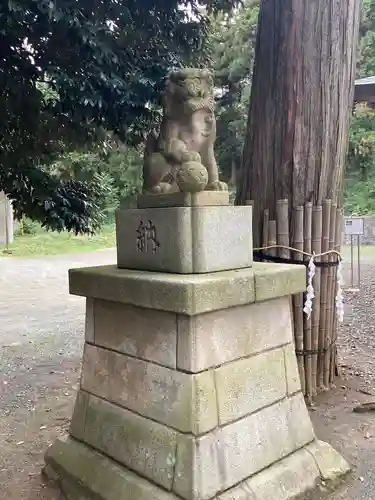 氷川神社の狛犬