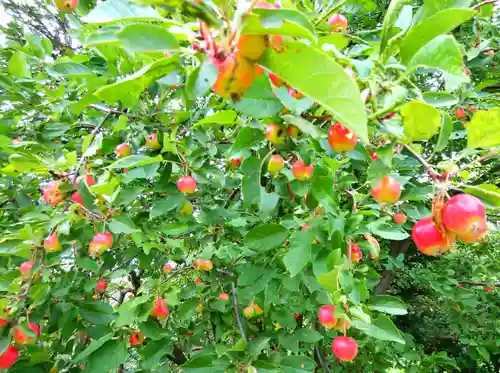 禅源寺(北海道)