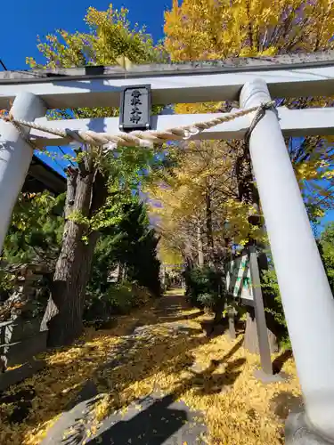 越谷香取神社の鳥居