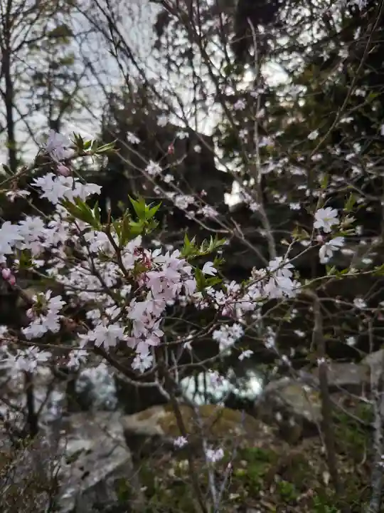 相馬中村神社(福島県)