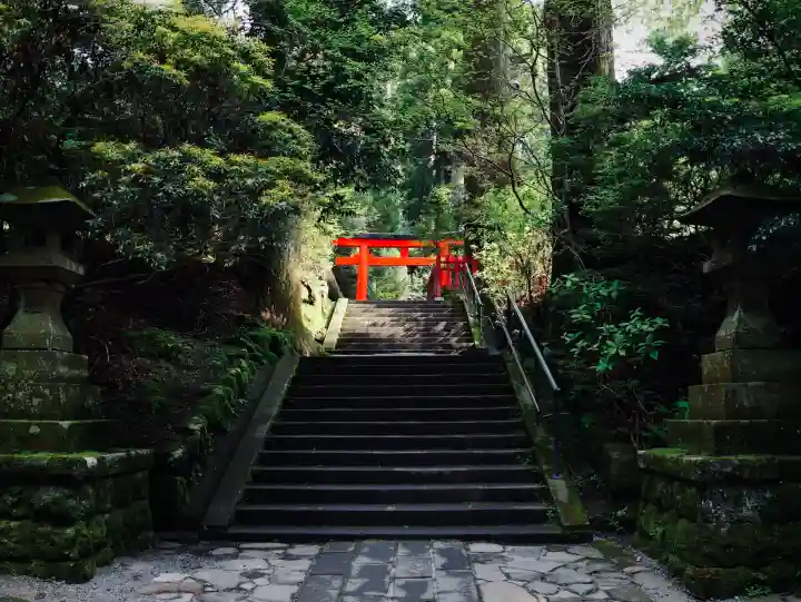 箱根神社の{uncategorized: "未分類", other: "その他", undefined: "問題あり", building: "その他建物", grave: "お墓", sacred_gate: "鳥居", guardian: "狛犬", statue: "像", buddha: "仏像", history: "歴史", nature: "自然", garden: "庭園", animal: "動物", pagoda: "塔", temizu: "手水舎", mountain_gate: "山門・神門", sanctuary: "本殿・本堂", subordinate: "末社・摂社", art: "芸術", scenery: "景色", jizo: "地蔵", ema: "絵馬", goshuin: "御朱印", omikuji: "おみくじ", items: "授与品その他", amulet: "お守り", goshuincho: "御朱印帳", eats: "食事", festival: "お祭り", votive_dance: "神楽", shichigosan: "七五三参", wedding: "結婚式", experience: "体験その他", initially: "初詣", around: "周辺", anti_infection: "感染症対策"}
