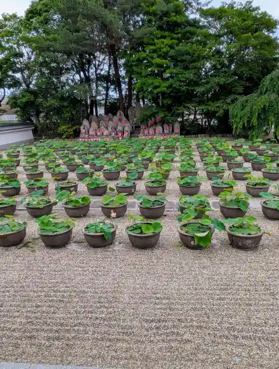 喜光寺(奈良県)